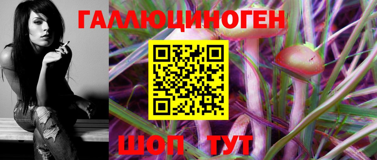 Псилоцибиновые грибы Psilocybine cubensis Владивосток