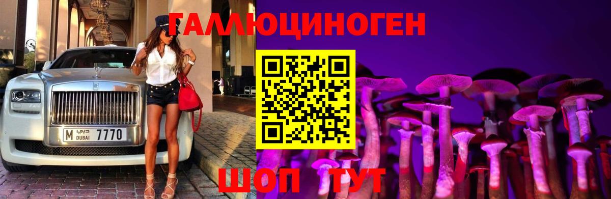 Псилоцибиновые грибы Cubensis  Вход с VPN  Владивосток 